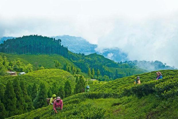 Hotel Central View - Darjeeling Darjeeling  Exterior foto